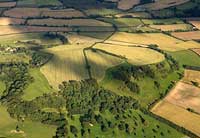 Meon Hill Hillfort
