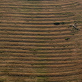 medieval ridge and furrow field patterns aerial photograph