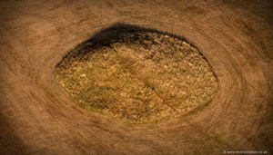 Roman  Barrow  Buckinghamshire aerial photograph