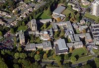 Newman Universitz College